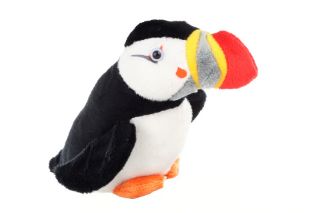 Obrázek z Papuchalk plyš 17cm(6) 